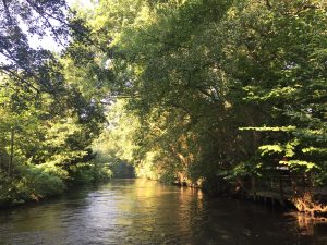 Alsterkanal: Mitten in der Stadt umgeben von Grün